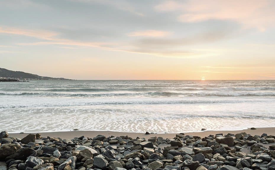 daily quick wellness boosts